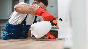 Best Residential Pest Control  in Durand, MI